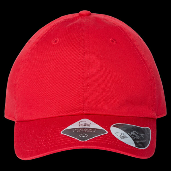 Sustainable Dad Hat Thumbnail